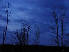 clouds (229)